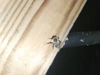 View photo in a new window