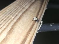 View photo in a new window