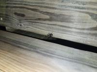 View photo in a new window