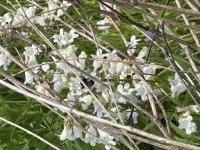 View photo in a new window