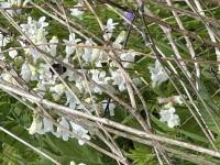 View photo in a new window