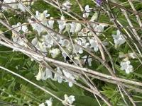 View photo in a new window