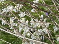 View photo in a new window