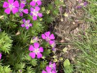 View photo in a new window