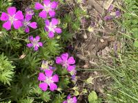 View photo in a new window