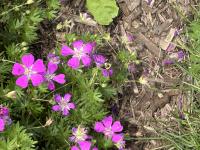 View photo in a new window