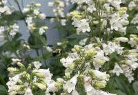 View photo in a new window