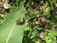 View photo in a new window