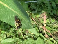 View photo in a new window