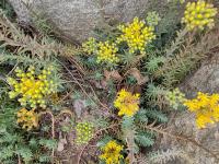 View photo in a new window