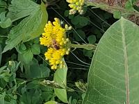 View photo in a new window