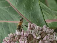 View photo in a new window