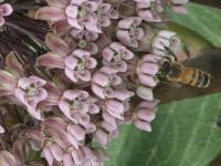 View photo in a new window