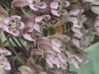 View photo in a new window