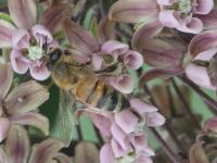 View photo in a new window