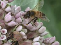 View photo in a new window