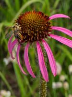 View photo in a new window