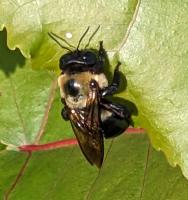 View photo in a new window