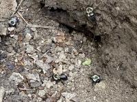 View photo in a new window