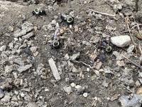 View photo in a new window