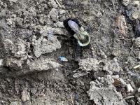 View photo in a new window