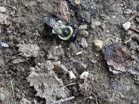 View photo in a new window