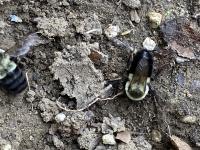 View photo in a new window