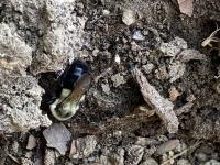 View photo in a new window