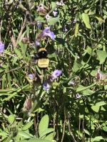 View photo in a new window