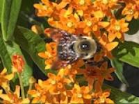 View photo in a new window