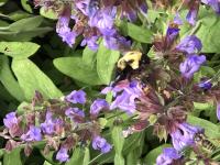 View photo in a new window