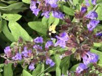 View photo in a new window