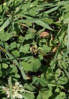 View photo in a new window