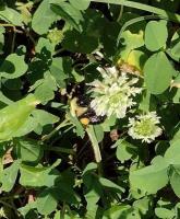 View photo in a new window