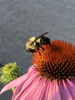 View photo in a new window