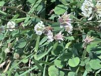 View photo in a new window