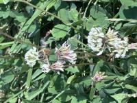 View photo in a new window