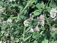 View photo in a new window