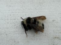 View photo in a new window