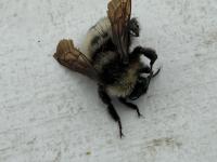 View photo in a new window