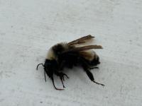 View photo in a new window