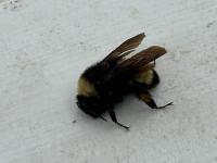 View photo in a new window