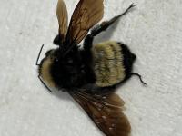 View photo in a new window