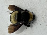 View photo in a new window