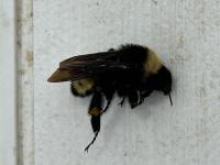 View photo in a new window