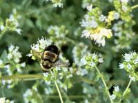 View photo in a new window