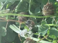 View photo in a new window