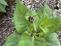 View photo in a new window