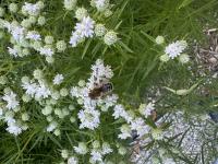 View photo in a new window