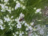 View photo in a new window